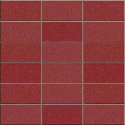 Appiani Anthologhia MOS2005 Mos 2005 Camelia 30x30