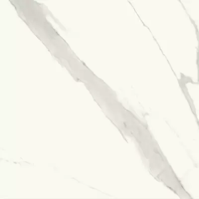 Ricchetti Marble Boutique 0541552 Statuario W Lux 59.4x59.4