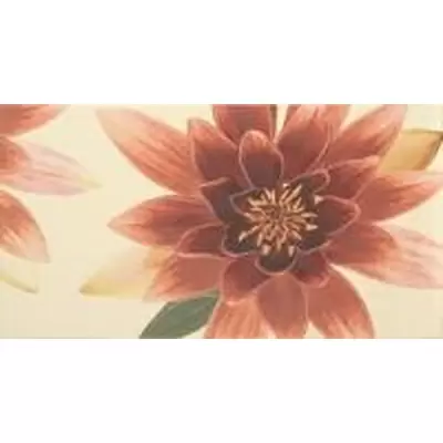 Fanal Sensations Crema Bano 2 32.5x60