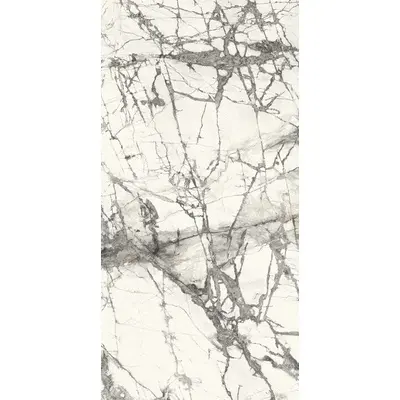 Ariostea Ultra Marmi UM6L27012636 Imperial Grey Lucidato Shiny 6mm 120x270