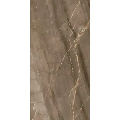 Wifi ceramics Marble Brown Glos 60x120