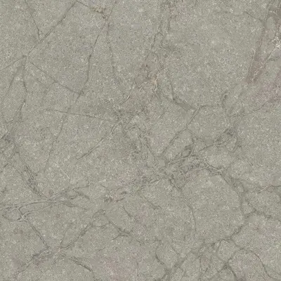 Flaviker PI.SA Supreme Memories 0011852 Grey Soap Ant Ret 120x120