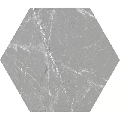 Click ceramica Cosmo Hexa Silver 20x24