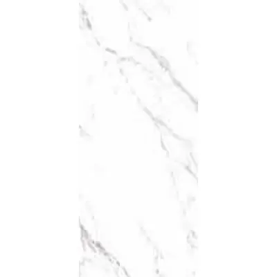 Casalgrande Padana Marmoker 2570617 Statuario Grigio Lucido B 120x278