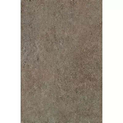 Coem Loire LO468 Moka Matt 40.8x61.4