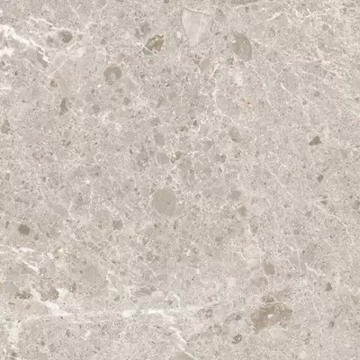 Grespania Artic 82RC75R Beige Natural 60x60