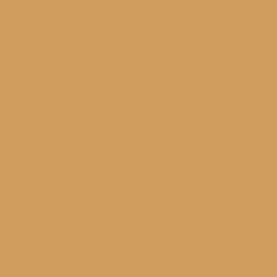 Rako Color One WAA1N282 WAA1N282 Оранжевая 20x20