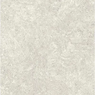 Fanal Astoria Blanco Mat Rec 59x59