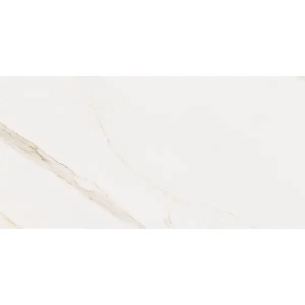 Cerdomus Omnia 88932 Calacatta Safe 60x120