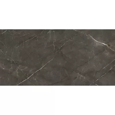 Ariostea Marmi Classici Pulpis Grey Luc 120x60