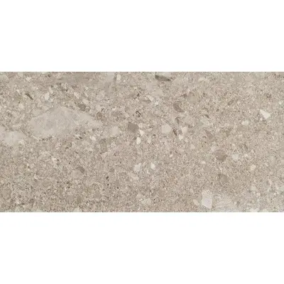 Ceramica Fioranese Frammenta CG363LR Grigio Chiaro lucido 30,2x60,4