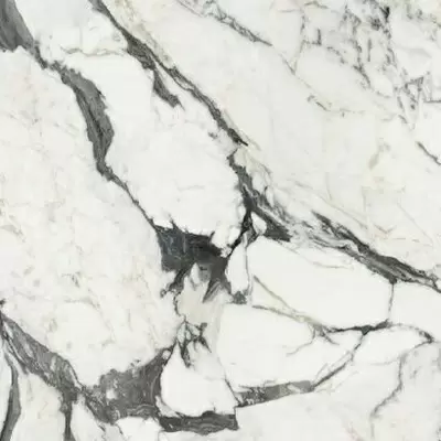 Rex Ceramiche Les Bijoux de Rex 766342 Calac Altissimo Glossy Ret 60x60
