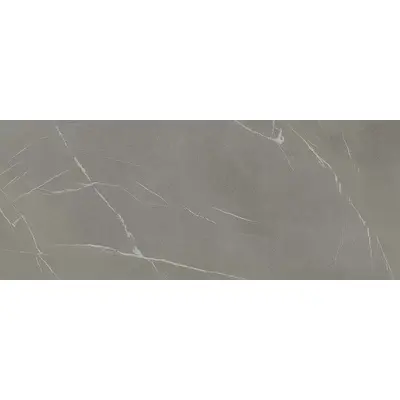 Laminam In Side LAMF009437_IT Pietra Piasentina Grigio Fiammato 5,6mm 120x300