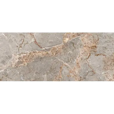 Stone Marble Breccia Argentum Nat Rett 120x280