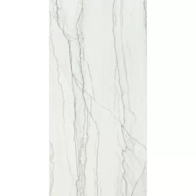 Italon Charme Advance 600010002283 Platinum White Opaco 40x80