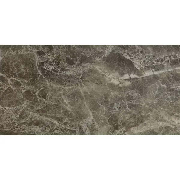 Modern Tile Zanetta Moka Glossy 60x120