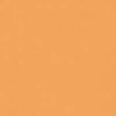 Rako Color One WAA1N272 Оранжевая 20x20