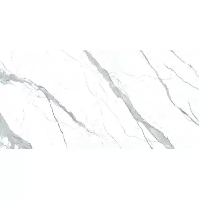 Apavisa Statuario 8431940312434 Extra White Polished Bookmatch Block-A 119.3x260