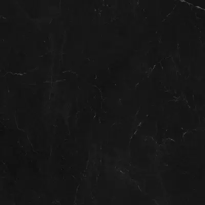 Panaria Eternity PZ8EN30 Marquina Black Soft 120x120