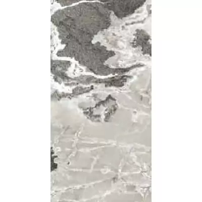 Casa Dolce Casa Onyx&amp;More 765470 Silver Blend Glossy 60x120