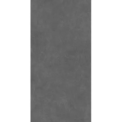 Kerama Marazzi Про Стоун DD590300R Антрацит матовый обрезной 119,5x238,5