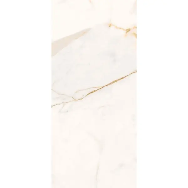 Roberto Cavalli Home The Wild Spirit 0500872 Calacatta Oro Lx Rt 59,6x119,2