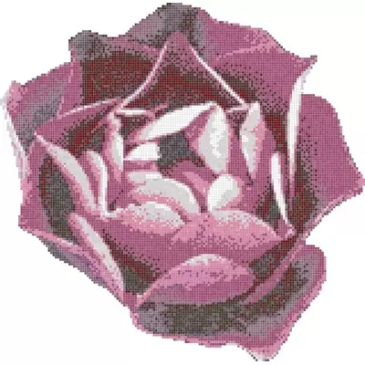 Bisazza Decori 20 06001102VL Rosa Rosa 338x345