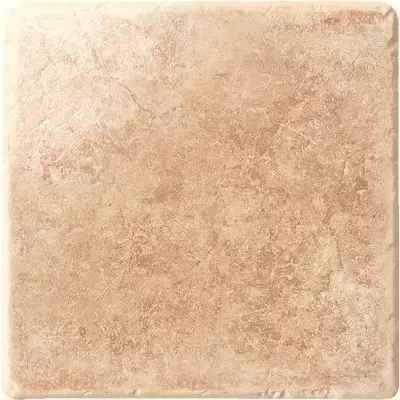 Serenissima Cir Marble Age Radica 10x10