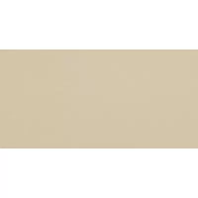Leonardo Icon ICON ALMOND 12 60x120