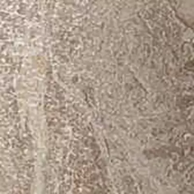 Atlas Concorde Russia Privilege 610090000765 Bottone Grigio Lapp 7.2x7.2