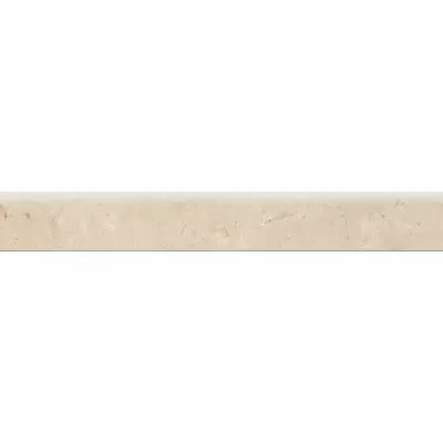 Museum Hettangian Floor R.I/60/EP 8x60
