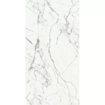 Rex Ceramiche Les Origines 769969 Blanc Glo 6mm Ret 120x240