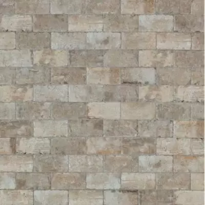 Serenissima Cir Chicago South Side (Bianco) 10x20