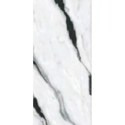 Zodiac Ceramica Panda MN072AP271206 White Polished 6 mm 120x270