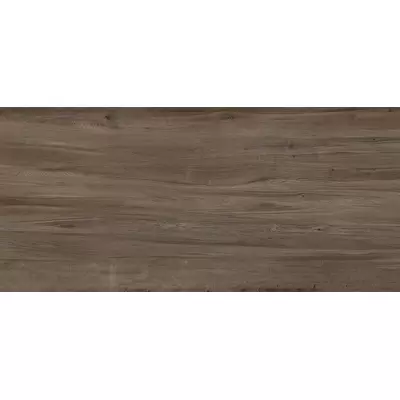 Apavisa Junoon 8431940312229 Brown 119.3x260