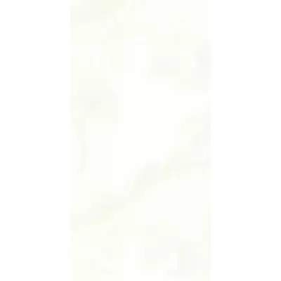 Art Ceramic Aragon White Glossy 60x120