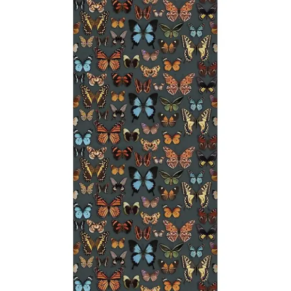 ABK Wide & Style 0007652 Papillon 60x120