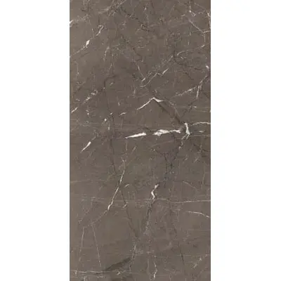 Rex Ceramiche Heritage Luxe 774845 Brown Comfort 6mm 60x120