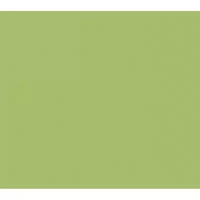 Casalgrande Padana Architecture 3957012 Acid Green Levigato 10.00 60x60