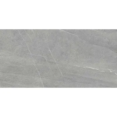 Pamesa Pietra di Lavagna 17.869.0656.12204 Argento 60x120