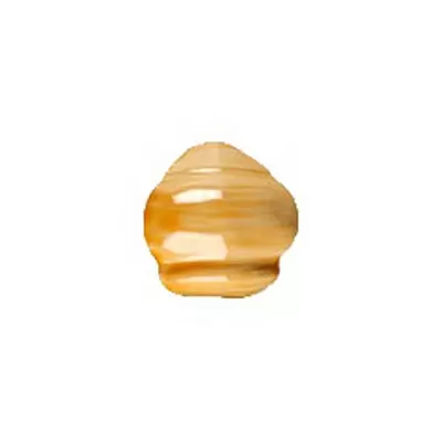 Vives Aranjuez Angulo Remate Curvo Maqueda Ocre 5x5