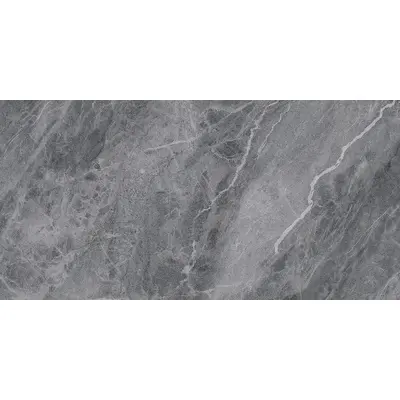 Pamesa Pietra Di Savoia 017.869.0213.12205 Grigio Матовый Rect 60x120