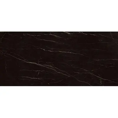 Stone The Room Dark Brown Glossy 120x260