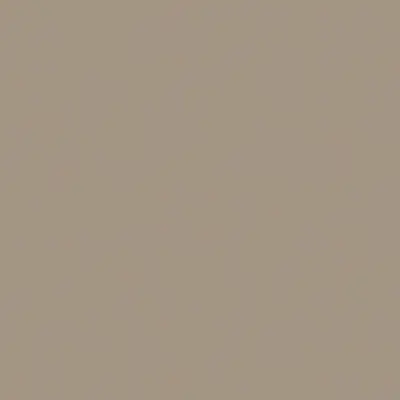 Casalgrande Padana Unicolore Technic Grigio Perla Naturale 9mm 40x40