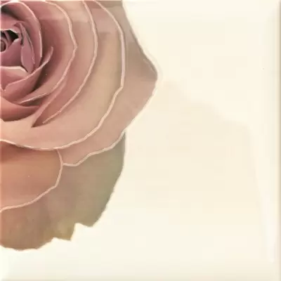 Mainzu Lucciola Cuore 9 (mix без выбора) 20x20