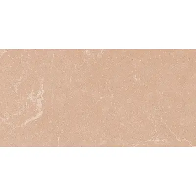 Ceramica Fioranese I Variegati IV622R Cipria 60,4x120,8