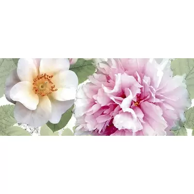 Ceradim Passion Dec Panno B 20x50