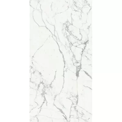 Rex Ceramiche Les Origines 769965 Blanc Mat 6mm Ret 120x240