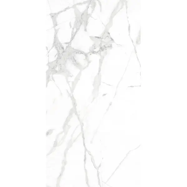 Arcadia Ceramica Diverso CR4023-A White Carving 60x120 - керамическая плитка и керамогранит