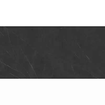 Xlight Liem C229802711 Black Polished 120x250